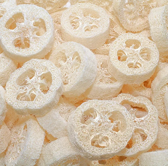 Loofah slices 