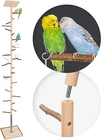 Climbing tree high budgie playground 