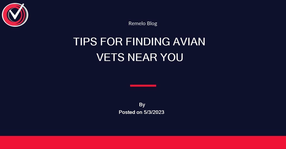 How To Find An Avian Vet For Your Birds TheBudgieBlog